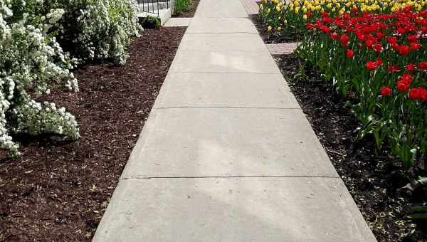 Cost of Sidewalk Slab Replacement in Marysville